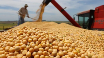 El Gobierno anunció la eliminación de las retenciones a los granos hasta el 31 de octubre