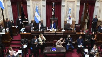 El Senado se prepara rechazar el veto presidencial a la ley de reparto de los ATN