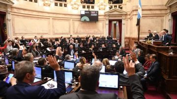 El senado aprobó ahora una reforma para limitar los DNUs presidenciales