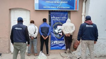 Denunció que le robaron 13 cabras y tras una investigación, detuvieron a tres jóvenes de la zona