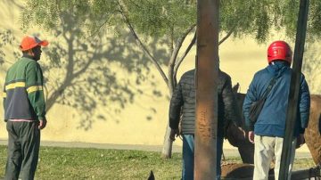 Indignación por grave caso de maltrato animal en Las Termas