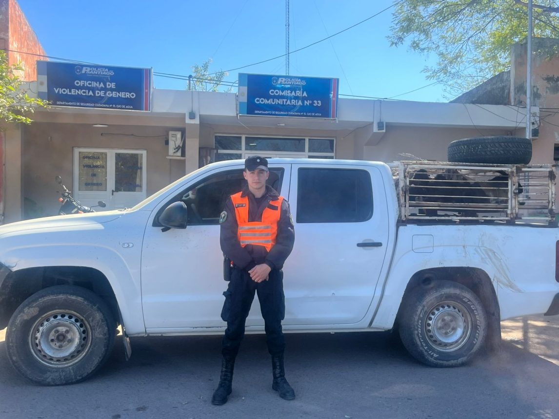 Sumampa: interceptan una camioneta con 17 animales y descubren que tenía pedido de secuestro en Córdoba