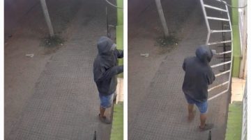 De terror: Encargada de maxikiosco pidió ayuda a gritos mientras un ladrón rompía la reja para entrar