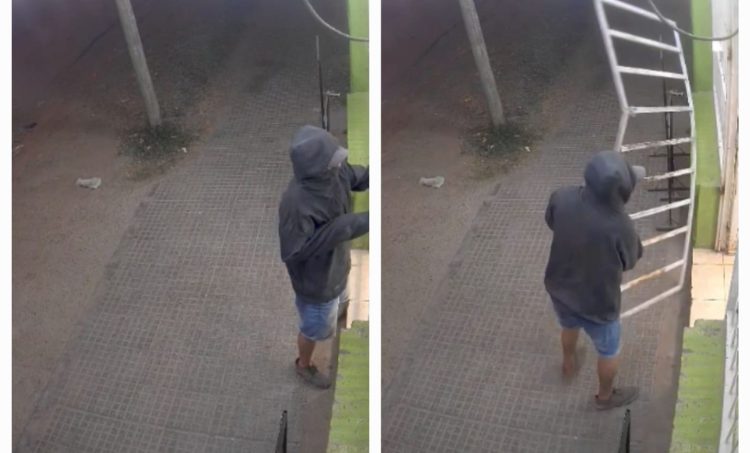 De terror: Encargada de maxikiosco pidió ayuda a gritos mientras un ladrón rompía la reja para entrar