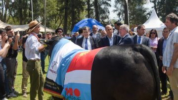 Zamora participó del acto inaugural de la ExpoBRA 2025