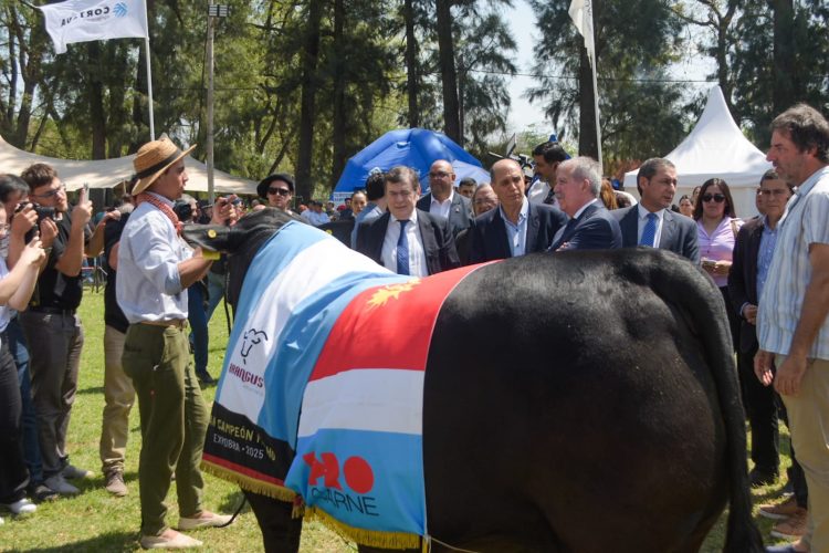 Zamora participó del acto inaugural de la ExpoBRA 2025