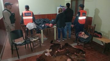 Interceptan una camioneta con dos vacunos faenados, cuchillos y casi $500.000 en efectivo