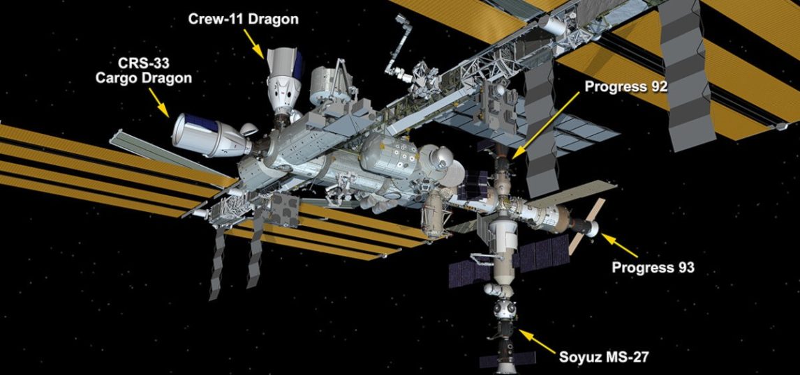 El “Arca de Noé”: Rusia lanzó al espacio una nave con animales y plantas