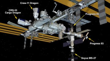 El “Arca de Noé”: Rusia lanzó al espacio una nave con animales y plantas