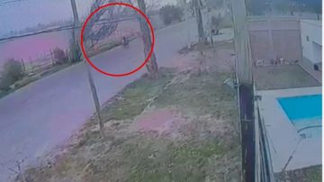 Imágenes impactantes: El viento derribó un árbol y cayó sobre un repartidor