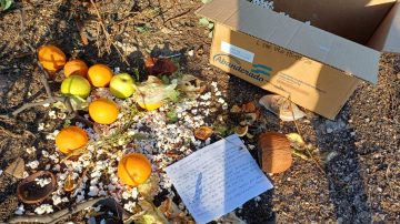 Misteriosa ofrenda “umbanda” invoca a Exú, Asmodeo, Lucifer, Belial, Samael y Satanás