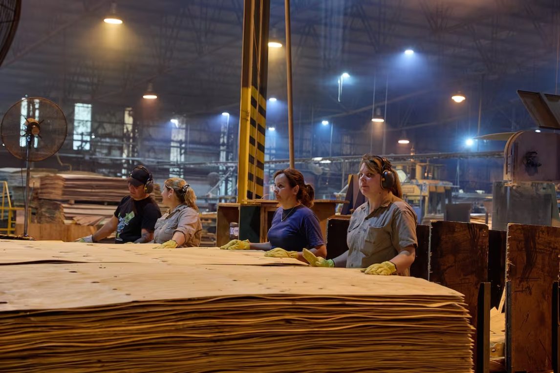 Crisis en la industria papelera: Celulosa Argentina se presenta en concurso preventivo de quiebra