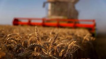 Según el INDEC, Santiago del Estero se consolidó como la provincia más exportadora del NOA