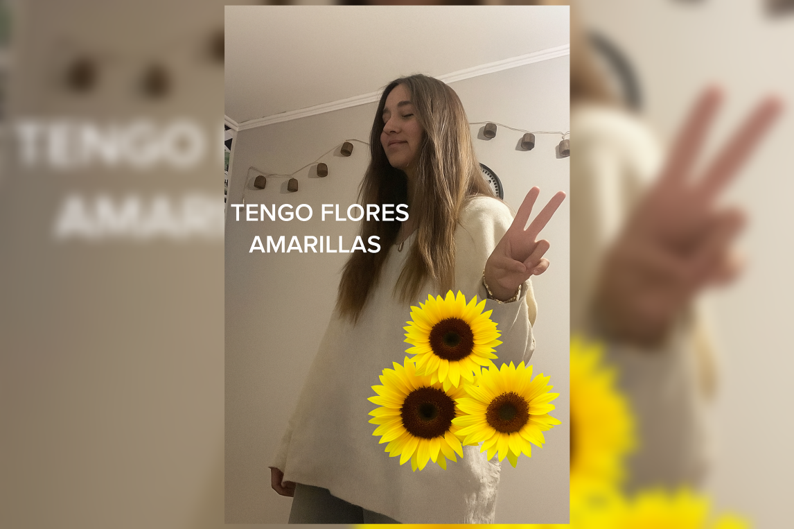 Flores amarillas: ¿Por qué se regalan cada 21 de septiembre?