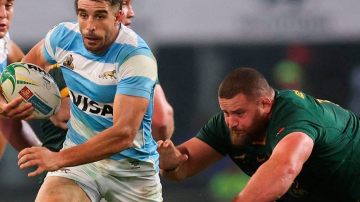 Los Pumas chocaron con la jerarquía de Sudáfrica y sufrieron una paliza