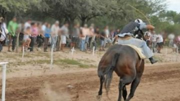 Imprudencia: un hombre ingresó a la pista y recibió una patada en el pecho de una yegua