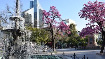 Jueves con máxima de 33 grados en la antesala de un finde agobiante en Santiago del Estero