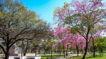 Hoy se inaugura el Parque “Mama Antula”, un imponente espacio de alrededor de 7 hectáreas