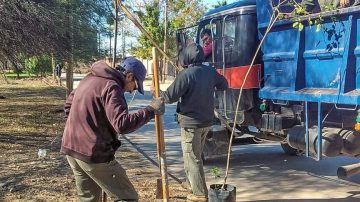 La Municipalidad capitalina comenzó la plantación de más de 2300 árboles en el barrio Juan Díaz de Solís