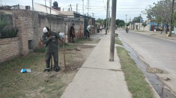 La Municipalidad comenzó la plantación de más de 2.300 árboles en el barrio La Católica