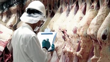 El Gobierno confirmó que también habrá retenciones cero para la exportación de carnes avícolas y bovinas