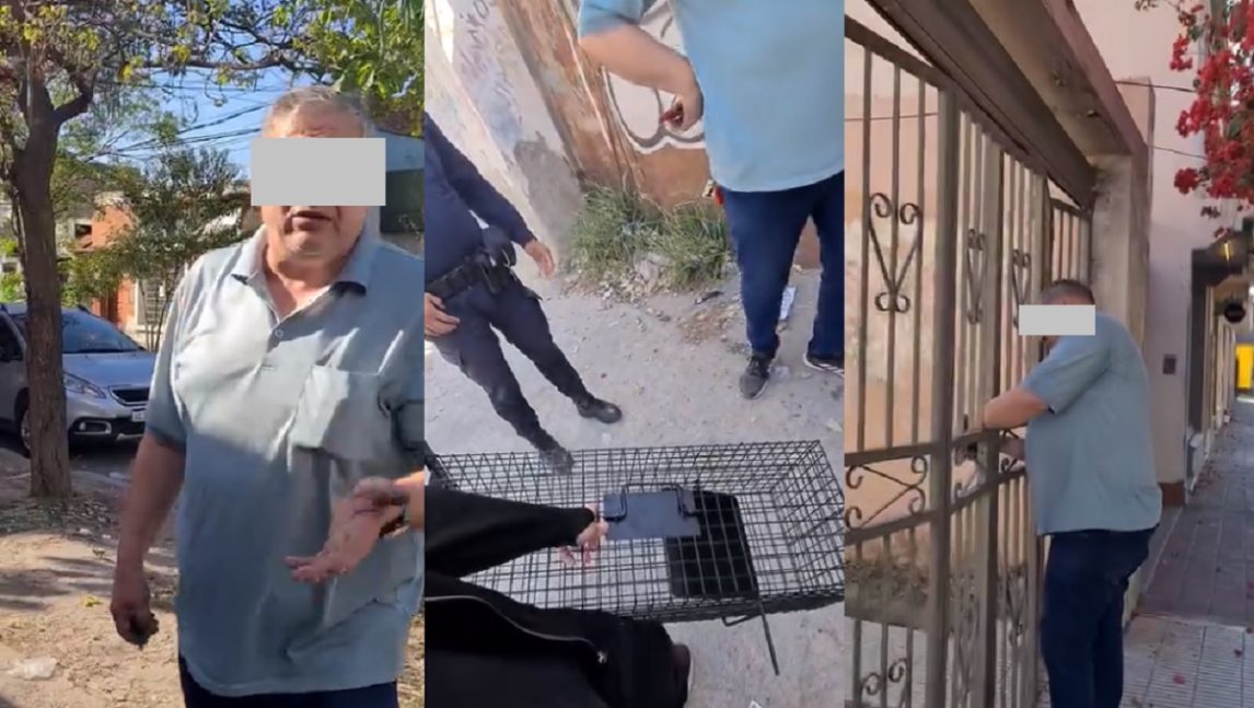 Polémica en medio de un rescate de animales: proteccionistas denunciaron al propietario de un baldío por maltrato
