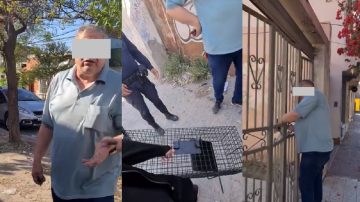 Polémica en medio de un rescate de animales: proteccionistas denunciaron al propietario de un baldío por maltrato