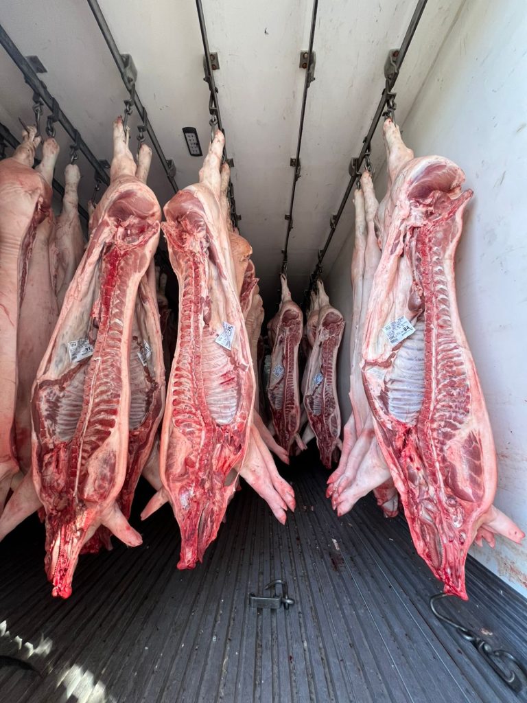 Decomisan 24 medias reses de cerdo en un control cerca del hipódromo