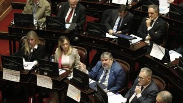 Paliza parlamentaria a Milei: El Senado rechazó el veto a la Ley de Discapacidad