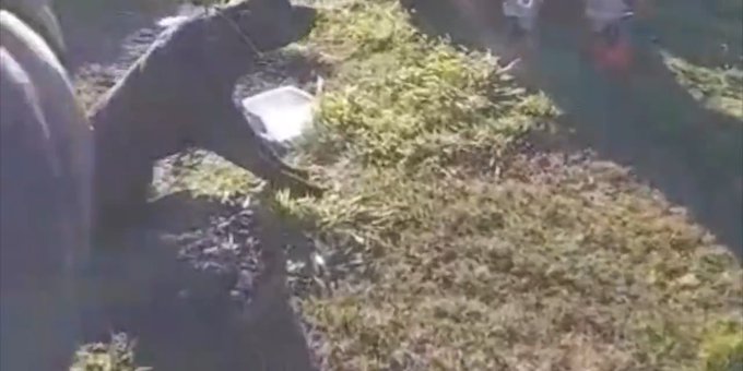 Cruel mujer ató a su perro al auto y lo arrastró por varias cuadras