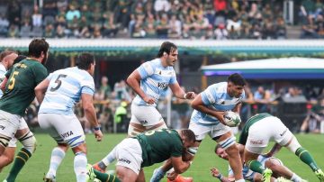 Buenas noticias para Los Pumas: el Rugby Championship seguirá hasta 2029