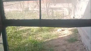 Indignación y tristeza en la comunidad de Añatuya por el robo a un merendero