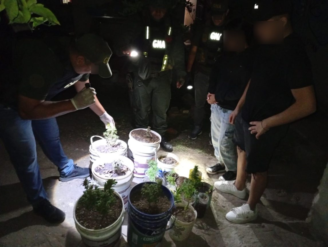 FOTOS: Golpe al narcomenudeo tras hallar 23 plantas de marihuana en una vivienda