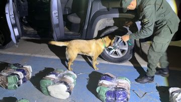 Gendarmes interceptaron una camioneta que transportaba mercadería de contrabando