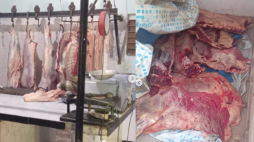 Golpe a una carnicería clandestina: decomisaron más de 4.000 kilos de carne ilegal en Banda y Clodomira