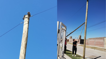 Emotivo: vecinos se organizaron para rescatar a un gatito atrapado en un poste de luz en el barrio Mama Antula
