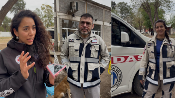 Día Mundial de los Primeros Auxilios: qué hacer y qué no hacer en una emergencia