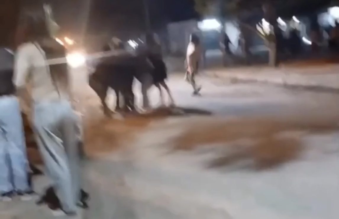 Video: pelea campal entre familias en el barrio Banfield de La Banda
