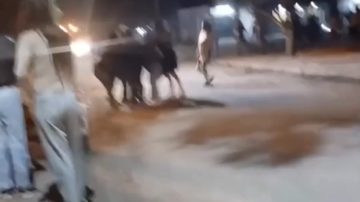 Video: pelea campal entre familias en el barrio Banfield de La Banda