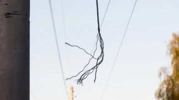 VIDEO: Filman a sujeto en pleno robo de cables en el barrio Juan Felipe Ibarra