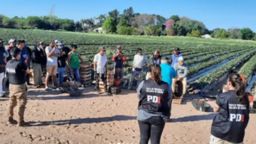 Rescataron a 42 trabajadores rurales en condiciones de explotación laboral en Santa Fe