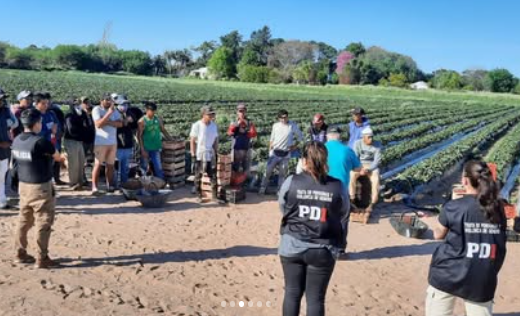 Rescataron a 42 trabajadores rurales en condiciones de explotación laboral en Santa Fe
