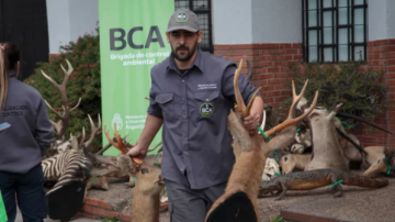 Un argentino que desmanteló una red de caza ilegal y tráfico de fauna recibirá un importante premio mundial