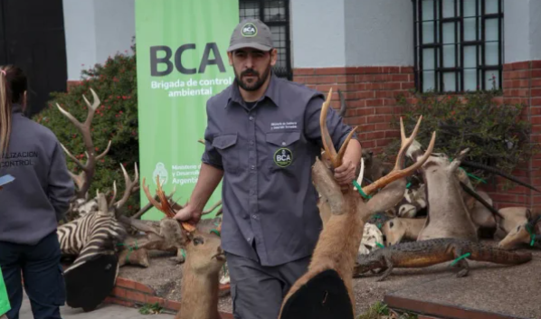 Un argentino que desmanteló una red de caza ilegal y tráfico de fauna recibirá un importante premio mundial