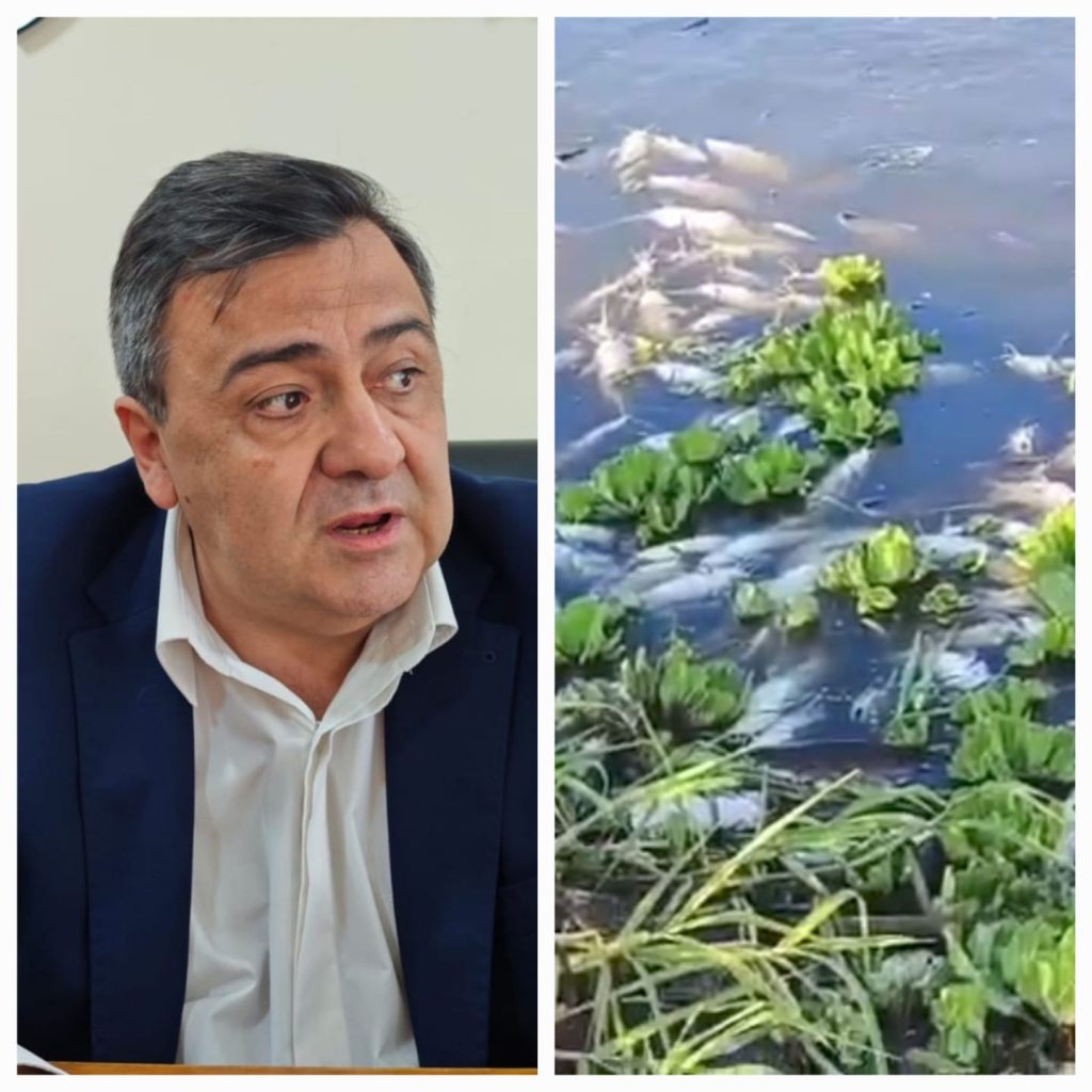 Dr. Escobar Correa: “La mortandad de peces se ha constatado hoy y ya se ha tomado cartas en el asunto”