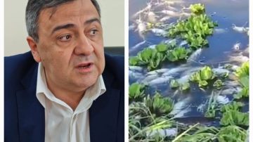 Dr. Escobar Correa: “La mortandad de peces se ha constatado hoy y ya se ha tomado cartas en el asunto”