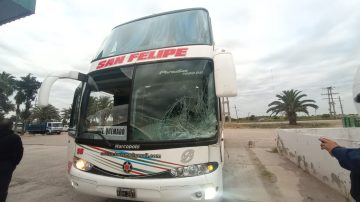 Colectivo del San Felipe chocó una vaca y generó gran susto entre los pasajeros