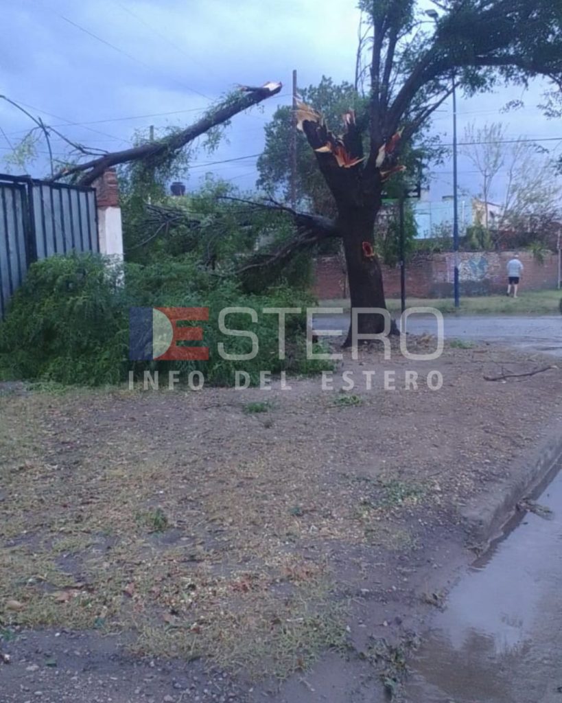 El cambio llegó a Frías con granizo y viento: Cayeron árboles y no hay energía eléctrica