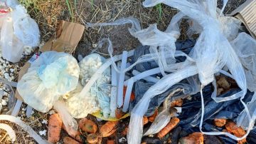 Descubren más rituales “umbandas” a vera de la Costanera Norte