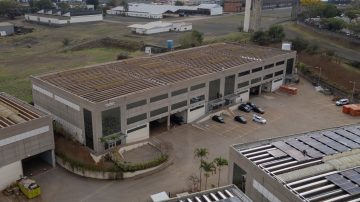 Increíble: abren la mayor fábrica de mosquitos del mundo en Brasil